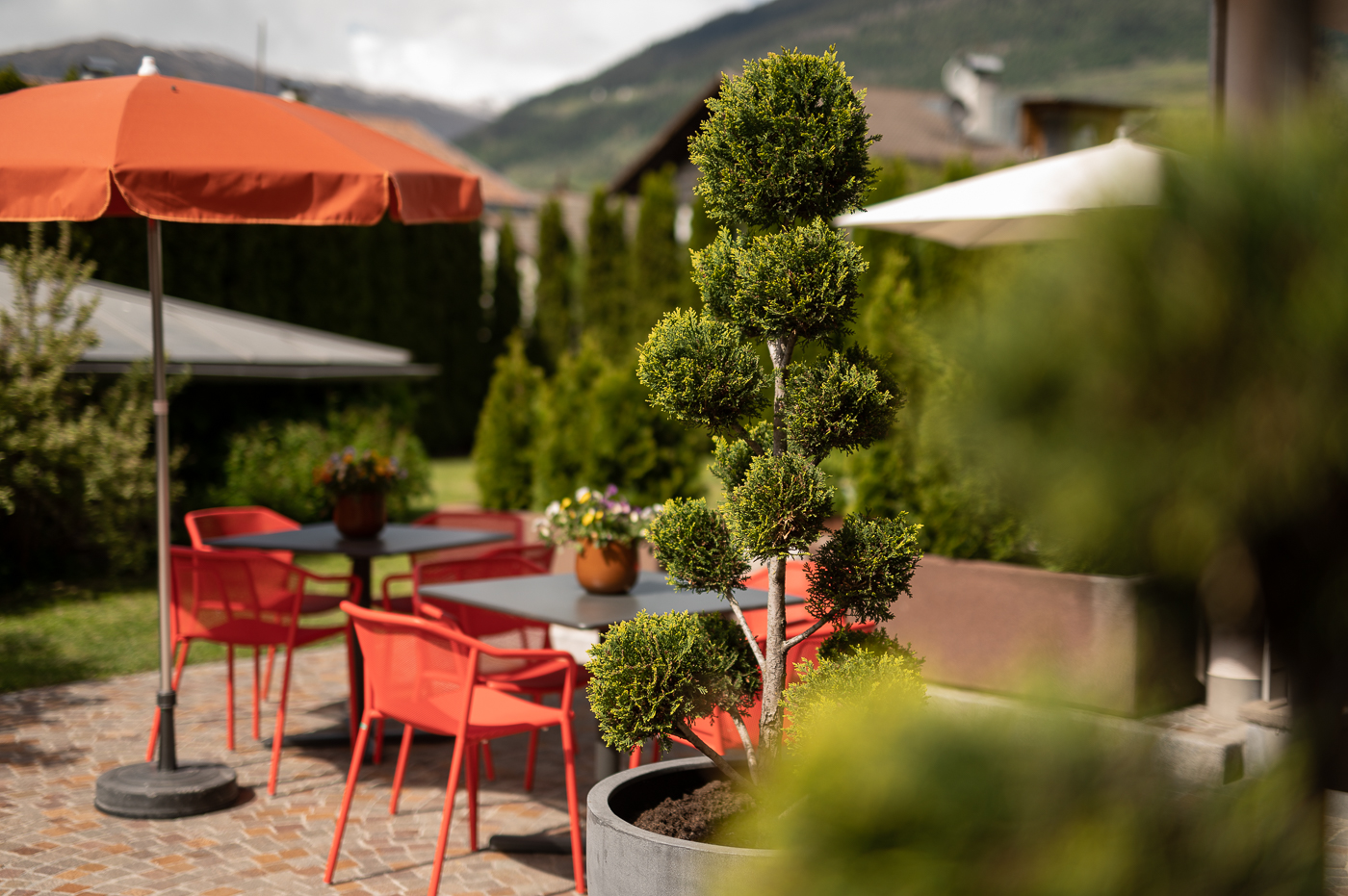 SPA_6422-1